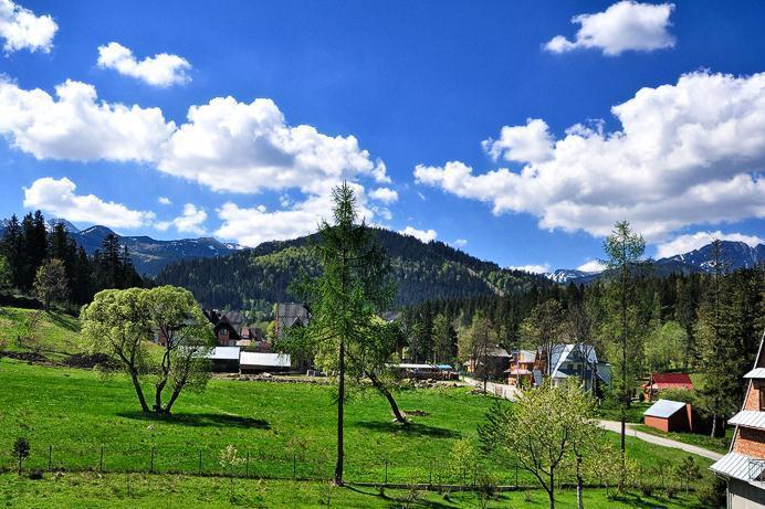 Pokoje Goscinne U Marysi Zakopane Kültér fotó
